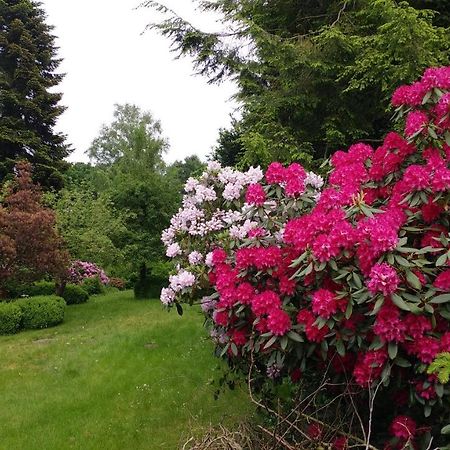 Ferienwohnung Gartenblick Worpswede Zewnętrze zdjęcie